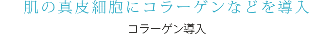 肌の真皮細胞にコラーゲンなどを導入