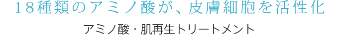 18種類のアミノ酸が、皮膚細胞を活性化