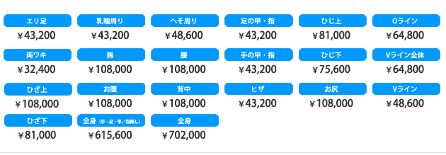 脱毛料金表